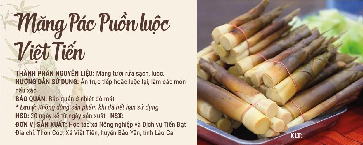 Măng Pác Puồn luộc Việt Tiến